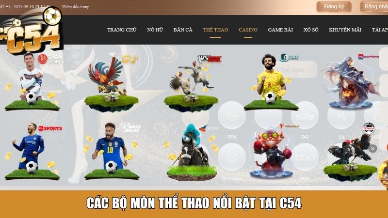 Các bộ môn thể thao nổi bật tại C54