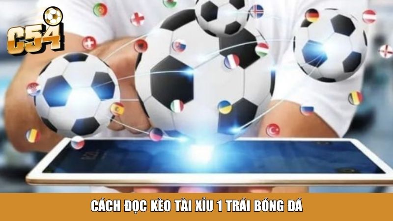 Cách đọc kèo tài xỉu 1 trái bóng đá