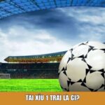 Tài xỉu 1 trái là gì?