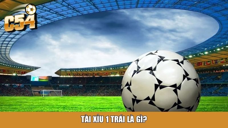 Tài xỉu 1 trái là gì?