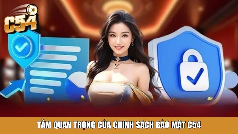 Tầm quan trọng của chính sách bảo mật C54