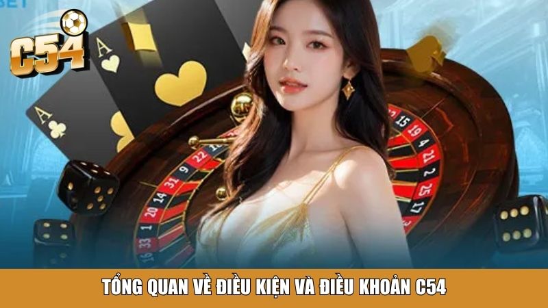 Tổng quan về điều kiện và điều khoản C54